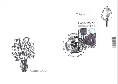 RASTLINSTVO - TULIPANI